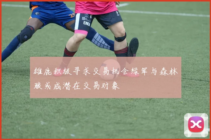 雄鹿积极寻求交易机会绿军与森林狼或成潜在交易对象