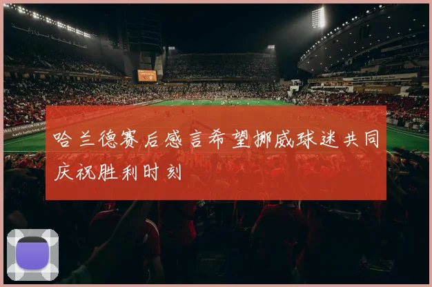 哈兰德赛后感言希望挪威球迷共同庆祝胜利时刻